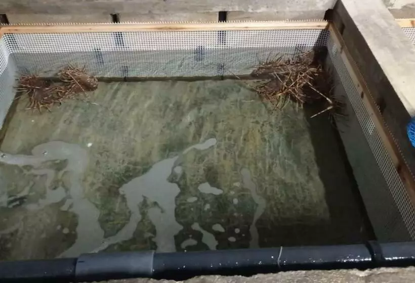 Hotel Hostal S Algaret