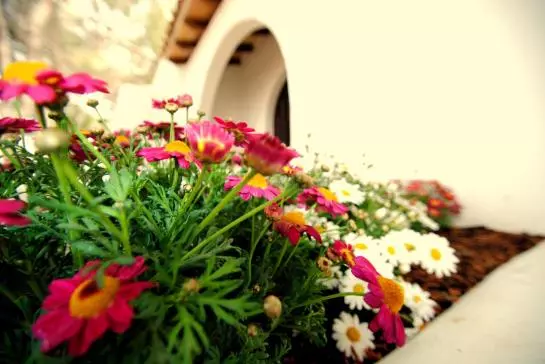 Отель Las Ceibas