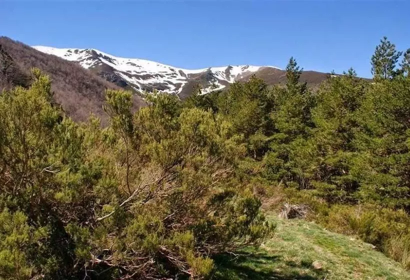 فندق Hostal Adela