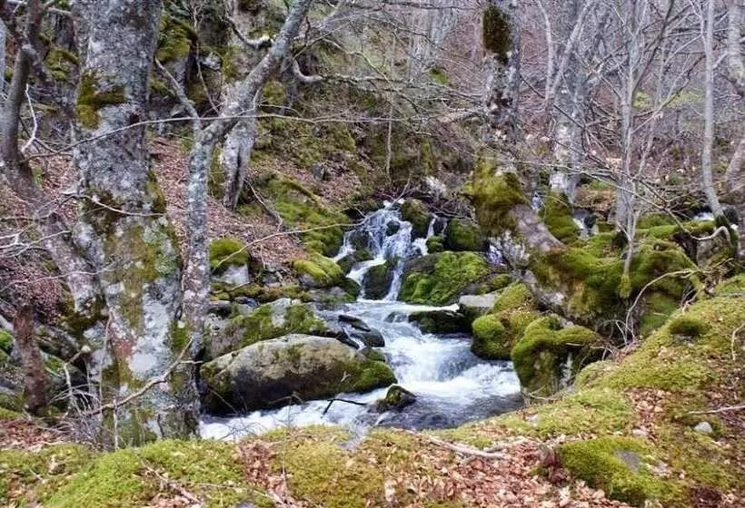 فندق Hostal Adela