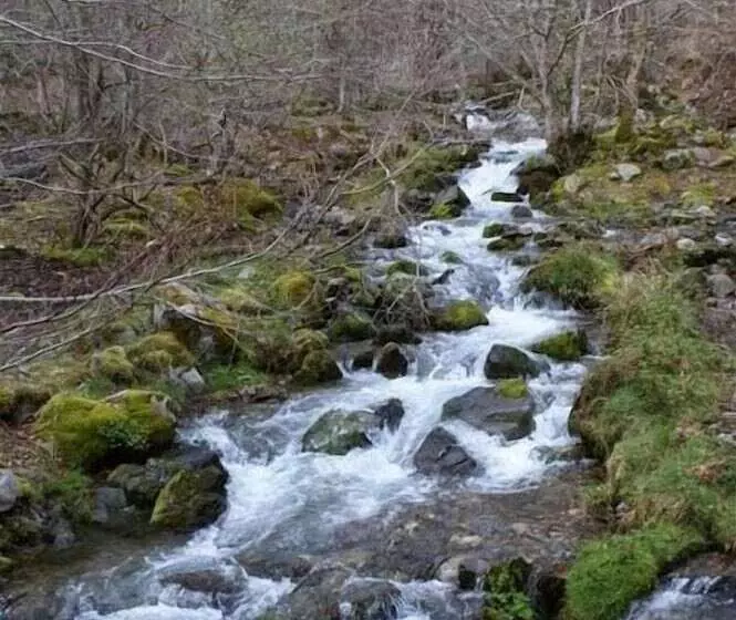 فندق Hostal Adela