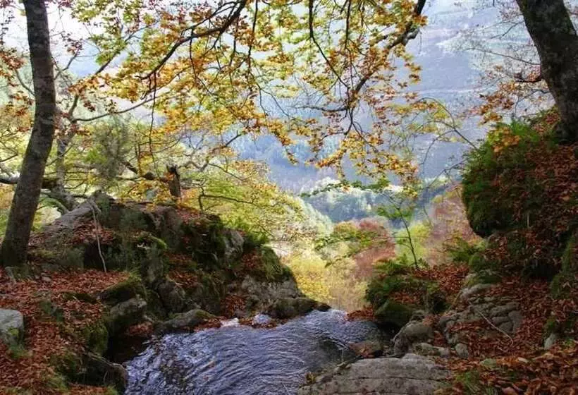 فندق Hostal Adela