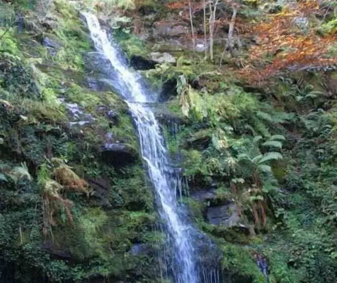 فندق Hostal Adela