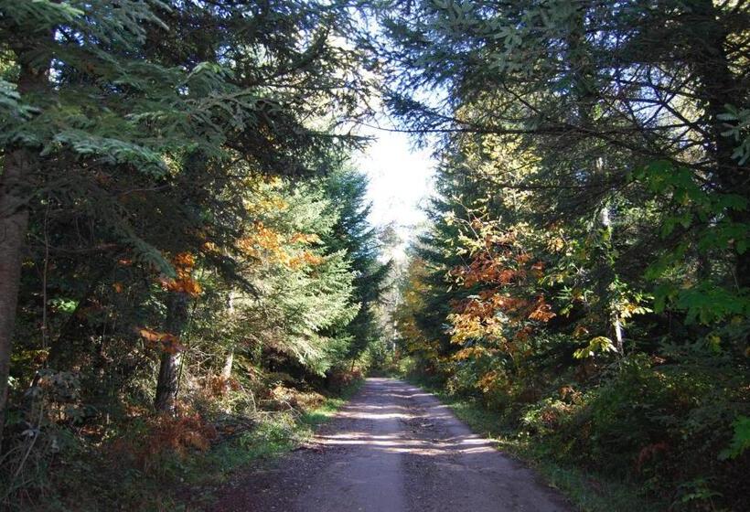 Отель Hostal Estrella