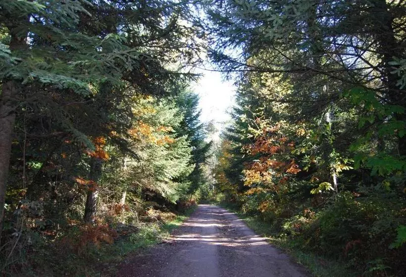 ホテル Hostal Estrella