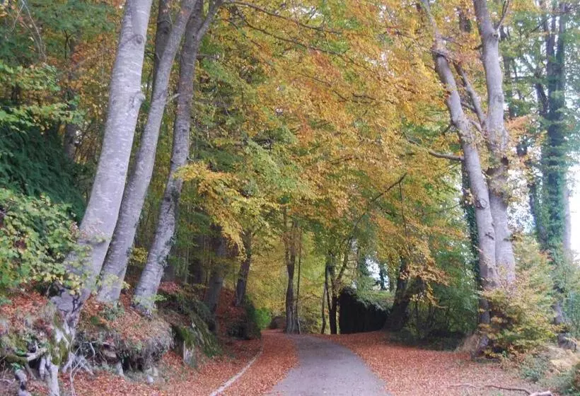 ホテル Hostal Estrella