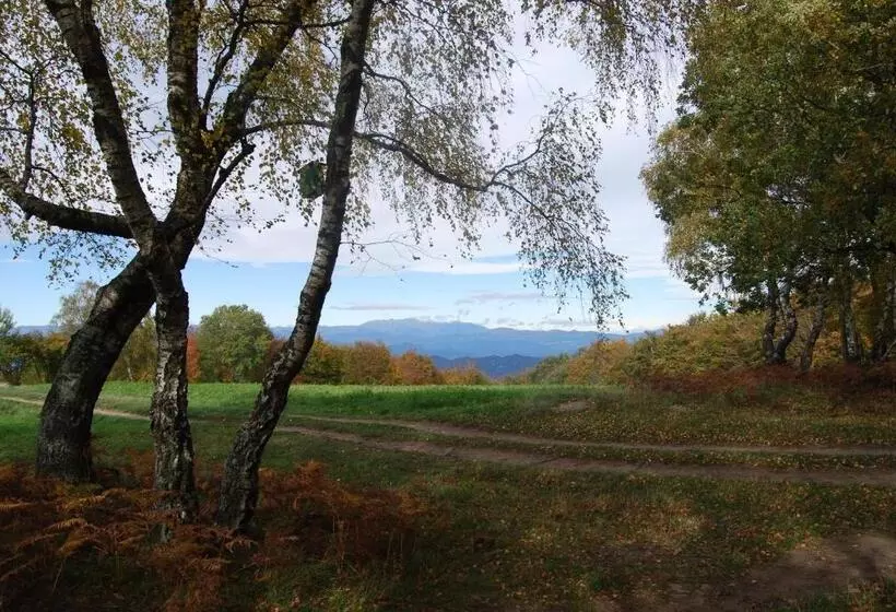 ホテル Hostal Estrella