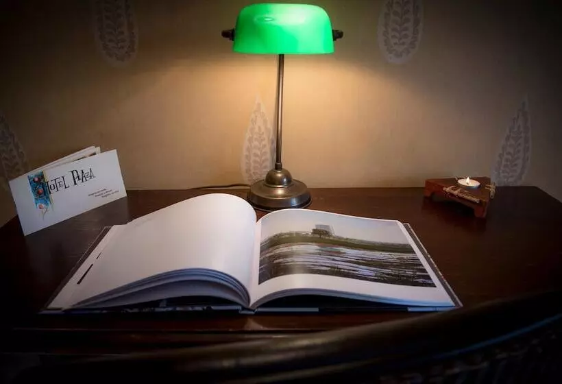 田舎風ホテル Plaza