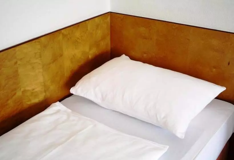 酒店 Ekazent Schönbrunn