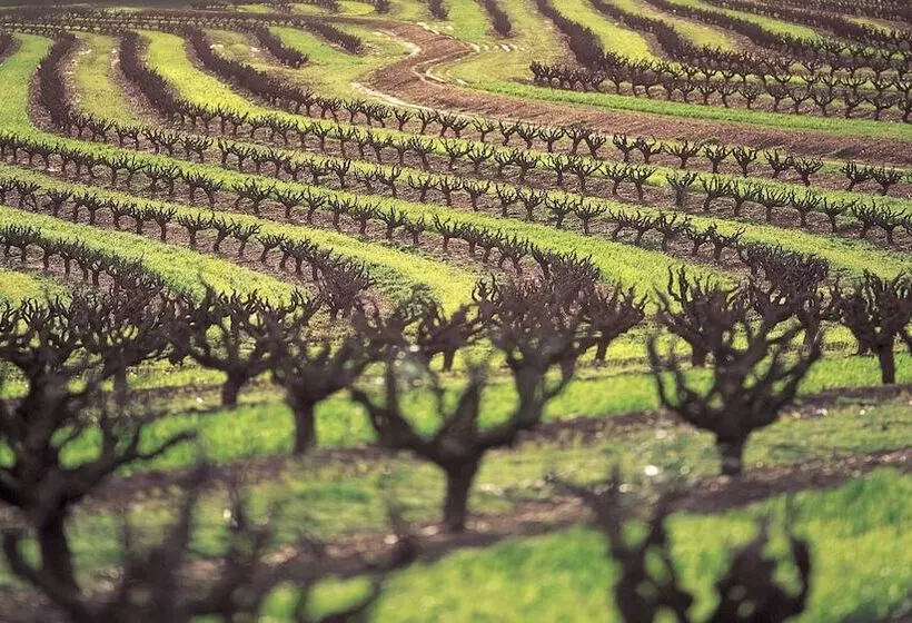 Hotel Intercontinental Adelaide, An Ihg