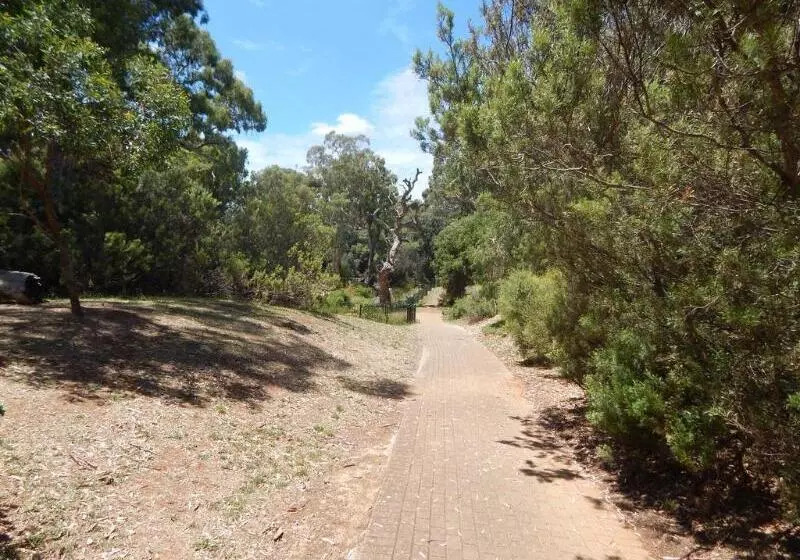 Отель Jacksons Motor Inn