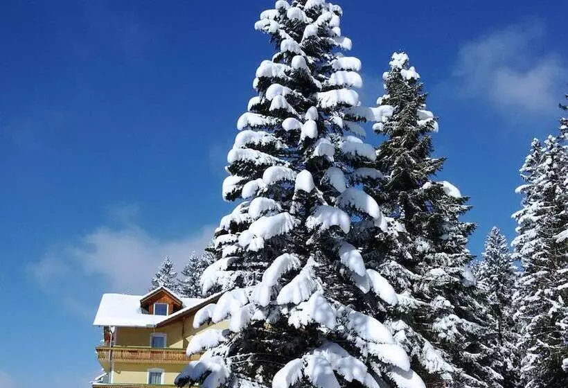 호텔 Liebesnesterl Bergwirt   Boutique