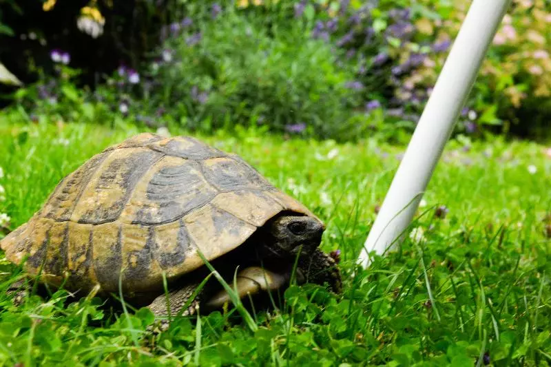 هتل Markus Sittikus Salzburg