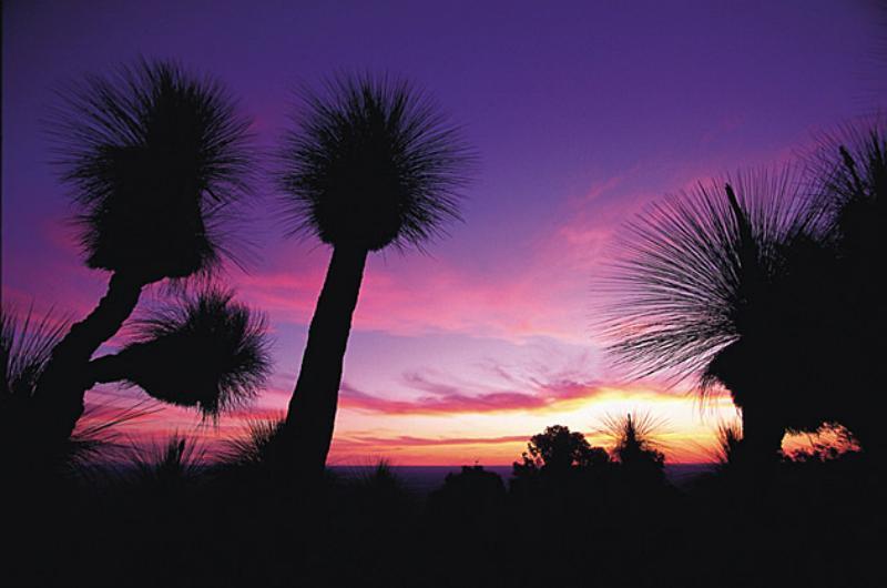 בית מלון כפרי Burke & Wills Motor Inn