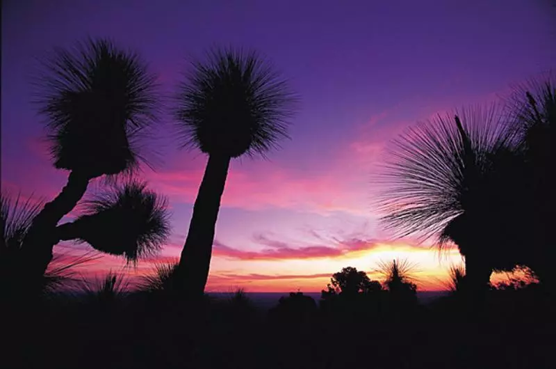 호텔 Burke & Wills Motor Inn