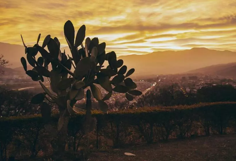 Otel Altos De La Viña