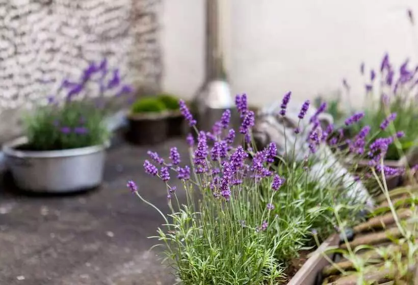 Malecot Hotel By F Hotels