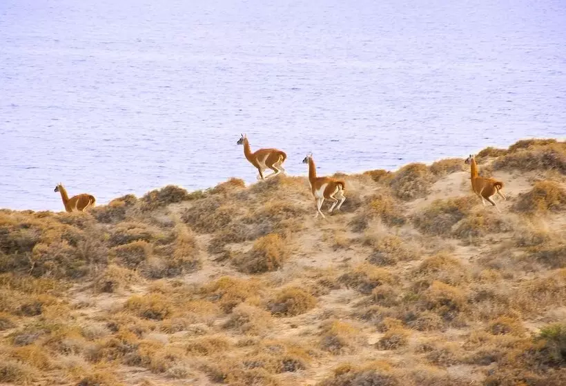 Hotel Peninsula Valdes