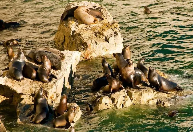 Hotel Peninsula Valdes