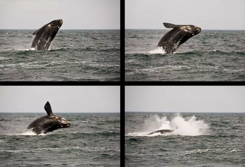 Hotel Peninsula Valdes