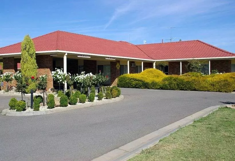 בית מלון כפרי Pines Country Club Motor Inn