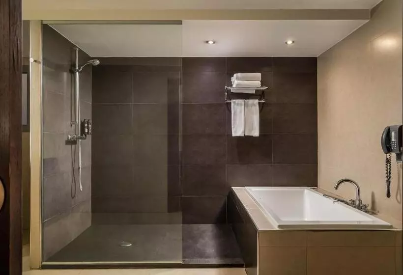 هتل Alegria President