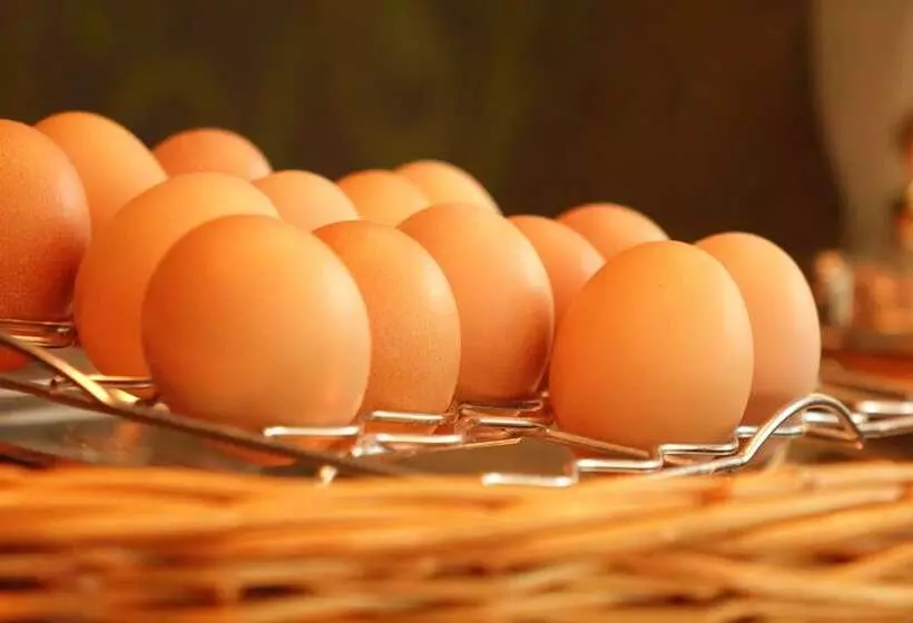 Stiemerheide   The Urban Hotel & Golf Retreat