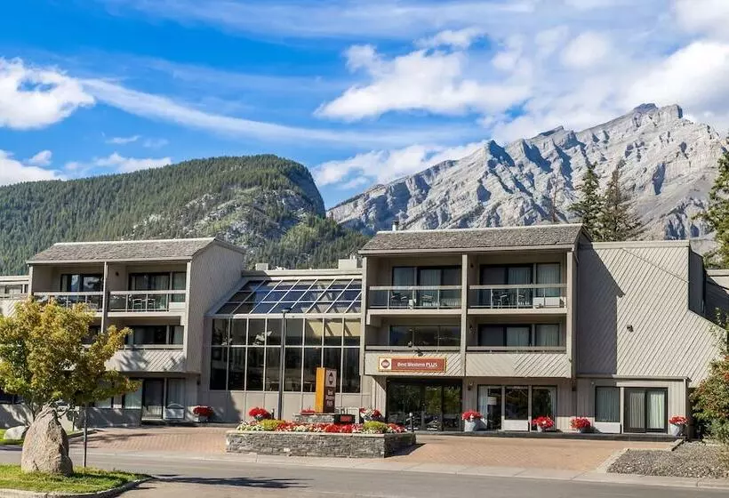 酒店 Best Western Plus Banff International Lodge