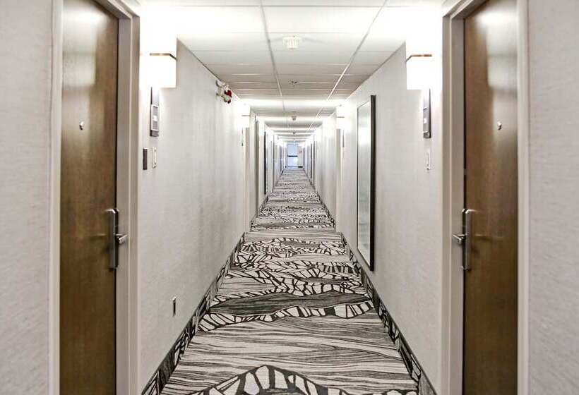 فندق Best Western Plus Banff International Lodge