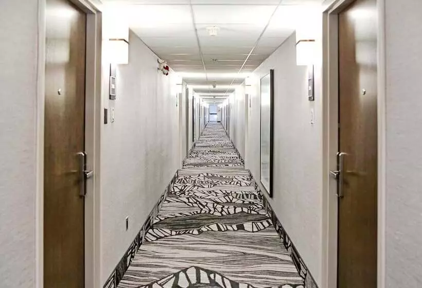 酒店 Best Western Plus Banff International Lodge