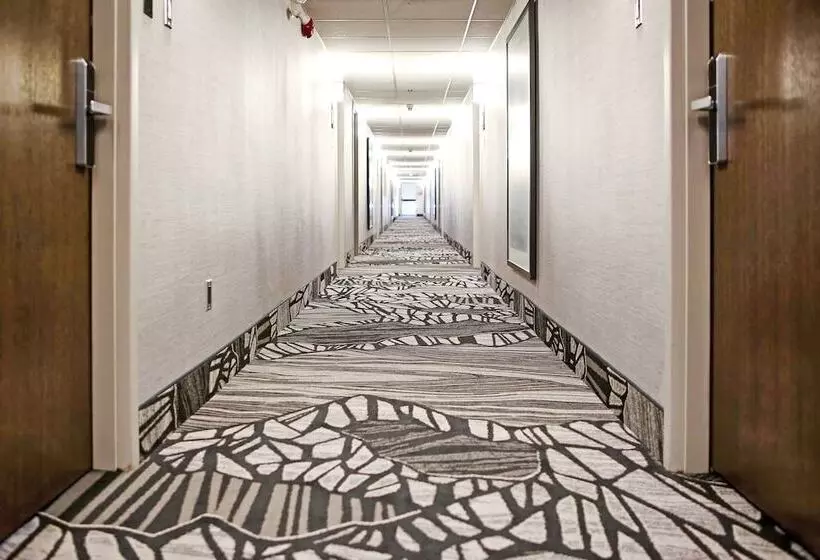 酒店 Best Western Plus Banff International Lodge