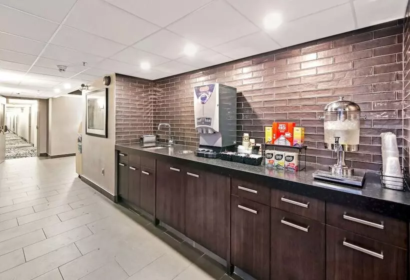 酒店 Best Western Plus Banff International Lodge