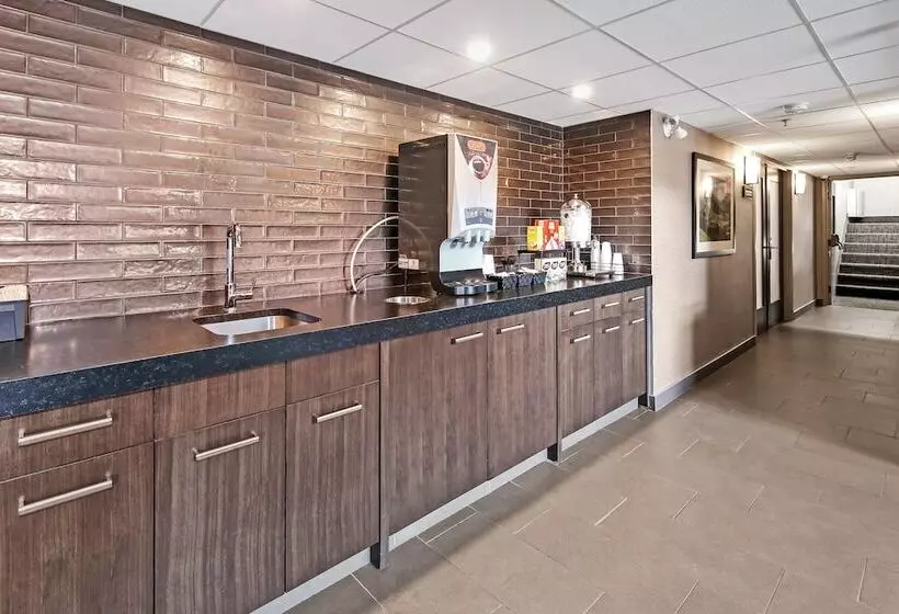 酒店 Best Western Plus Banff International Lodge