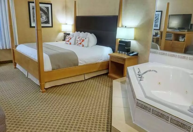 هتل Best Western Plus Regency Inn And Conference Centre