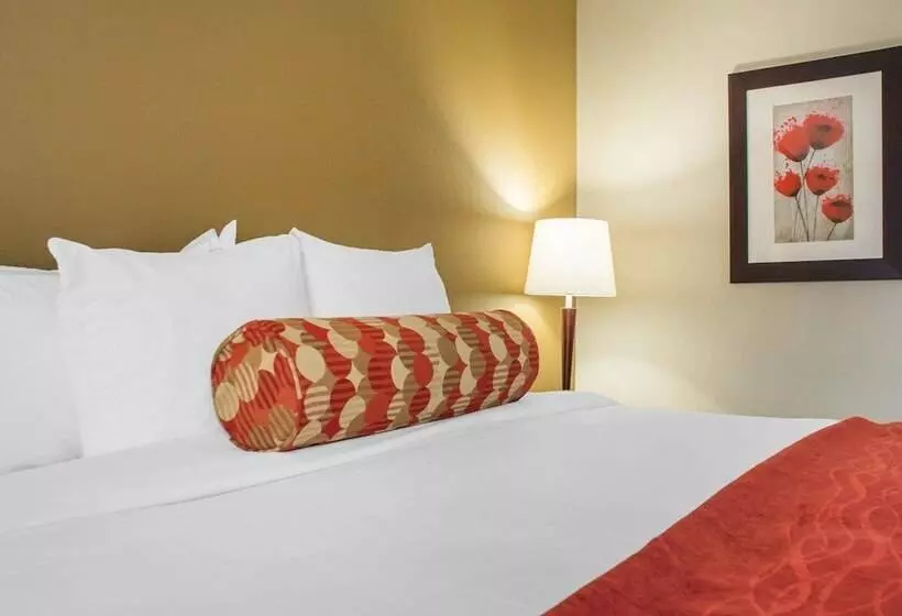 فندق Comfort Inn