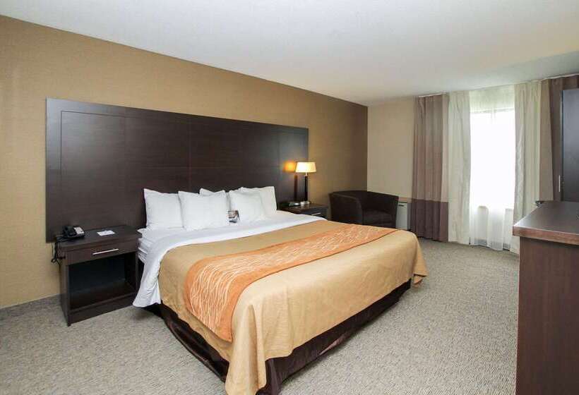 בית מלון כפרי Comfort Inn