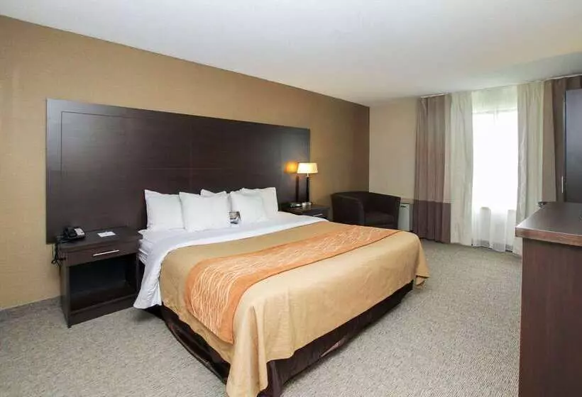 בית מלון כפרי Comfort Inn