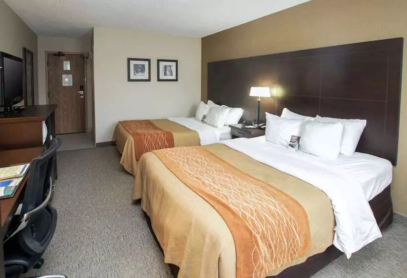 בית מלון כפרי Comfort Inn