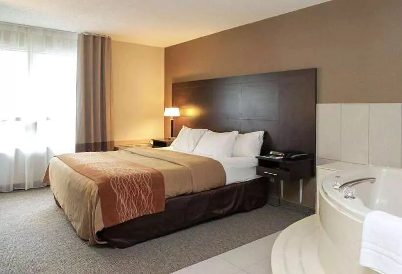 בית מלון כפרי Comfort Inn