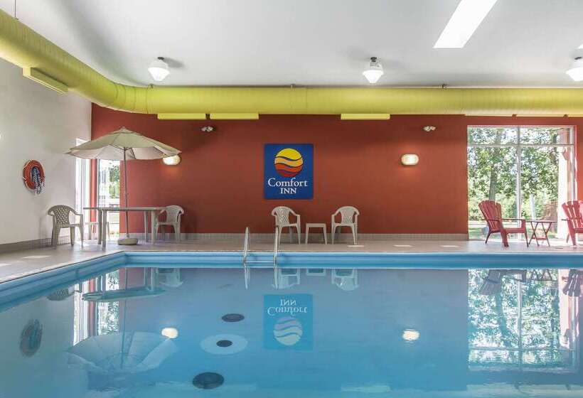בית מלון כפרי Comfort Inn