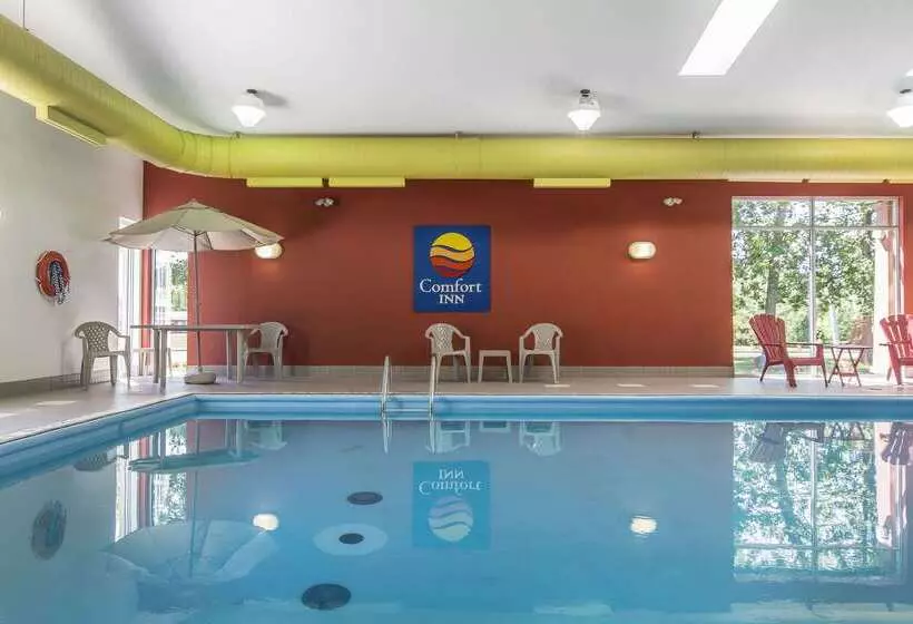 בית מלון כפרי Comfort Inn