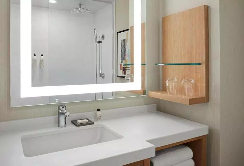 Delta Hotels Calgary Airport In Terminal