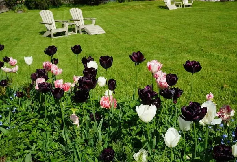 Отель Hastings House Country House