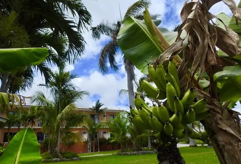 ホテル Orange Hill Beach Inn