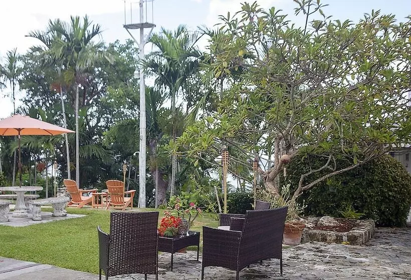 ホテル Orange Hill Beach Inn