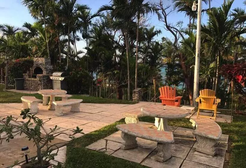 ホテル Orange Hill Beach Inn