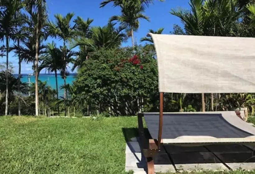 ホテル Orange Hill Beach Inn