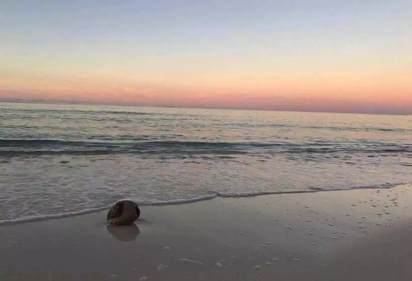 ホテル Orange Hill Beach Inn