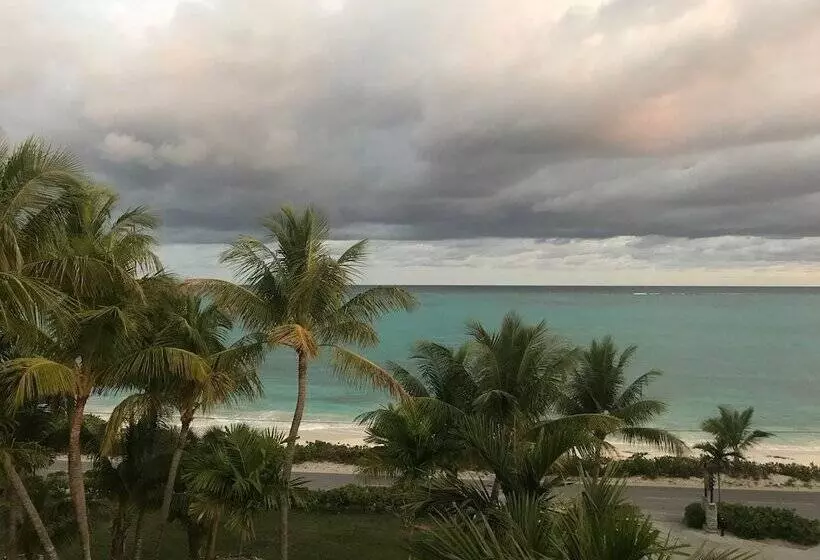 ホテル Orange Hill Beach Inn