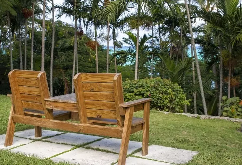 ホテル Orange Hill Beach Inn